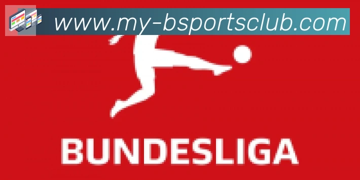 Bsports官网合作伙伴